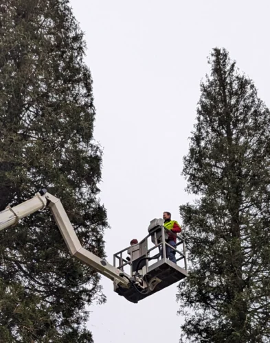 PXL_20241211_135909329.MP