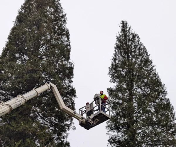 PXL_20241211_135909329.MP