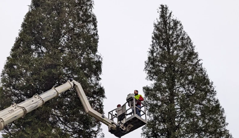 PXL_20241211_135909329.MP