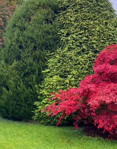 Gartengestaltung | Toberer Dienstleistungen GmbH