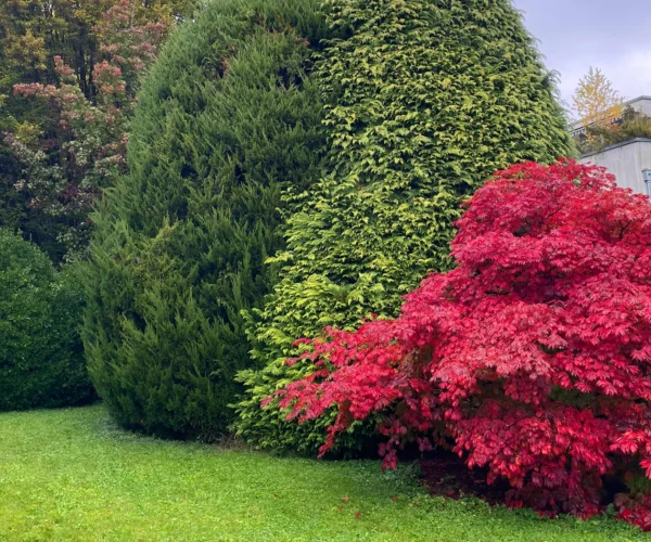Gartengestaltung | Toberer Dienstleistungen GmbH
