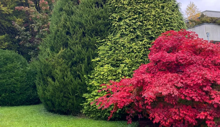 Gartengestaltung | Toberer Dienstleistungen GmbH