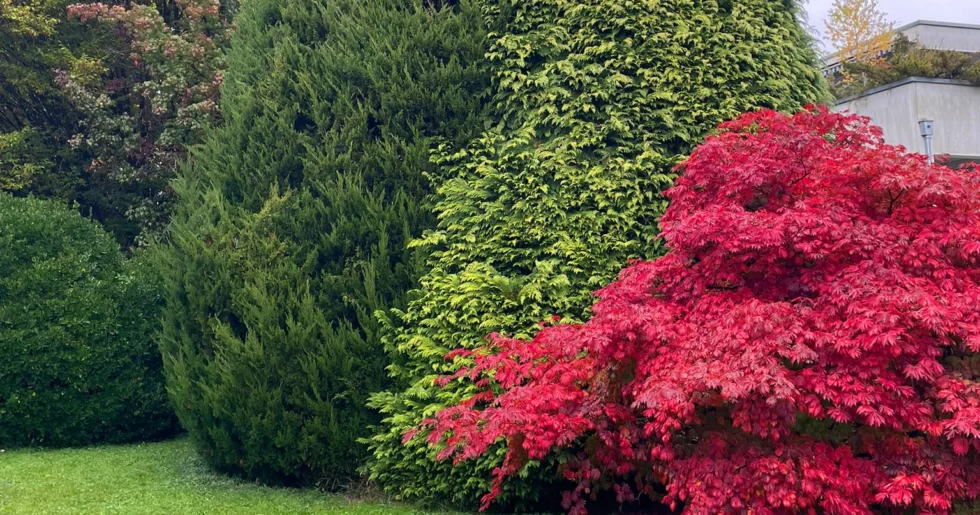 Gartengestaltung | Toberer Dienstleistungen GmbH