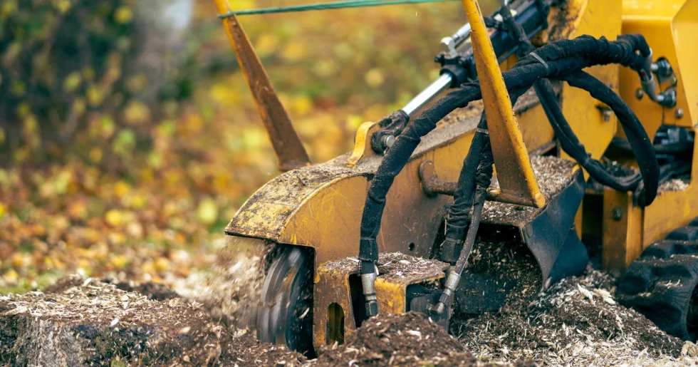 Wurzelstockfräsen | Toberer Dienstleistungen GmbH