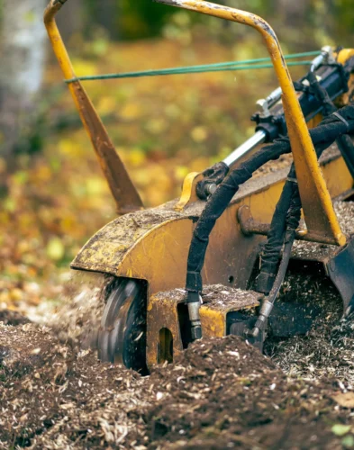 Wurzelstockfräsen | Toberer Dienstleistungen GmbH