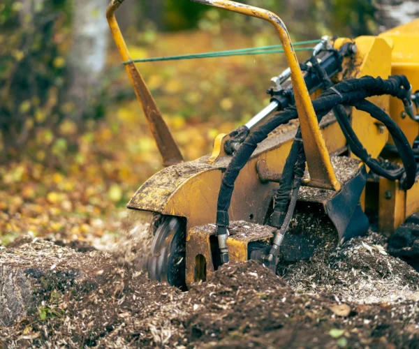 Wurzelstockfräsen | Toberer Dienstleistungen GmbH