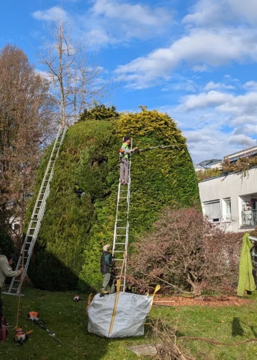 Hecken- & Gartengestaltung | Toberer Dienstleistungen GmbH