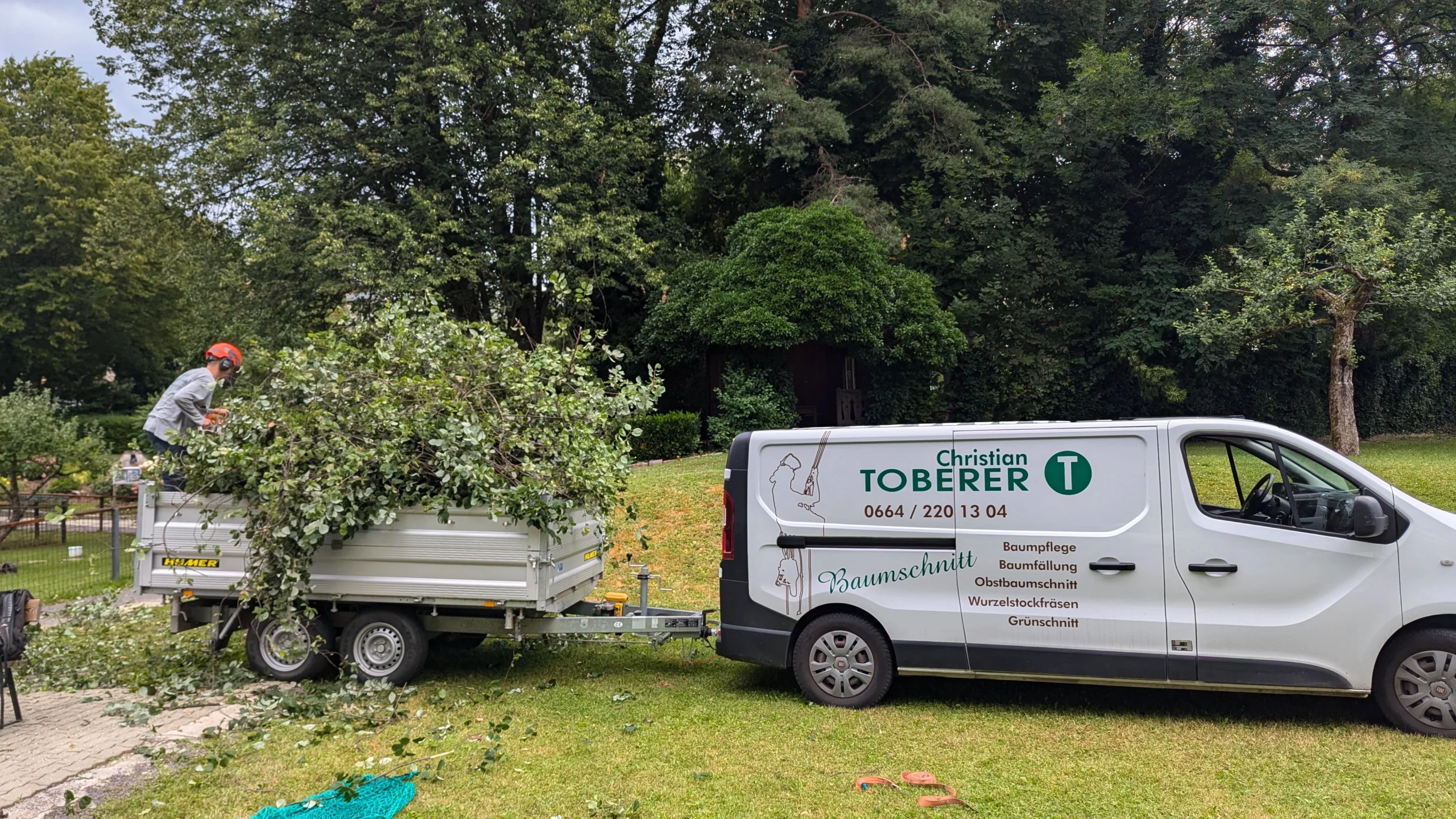 Baumschnitt & Entsorgung | Toberer Dienstleistungen GmbH